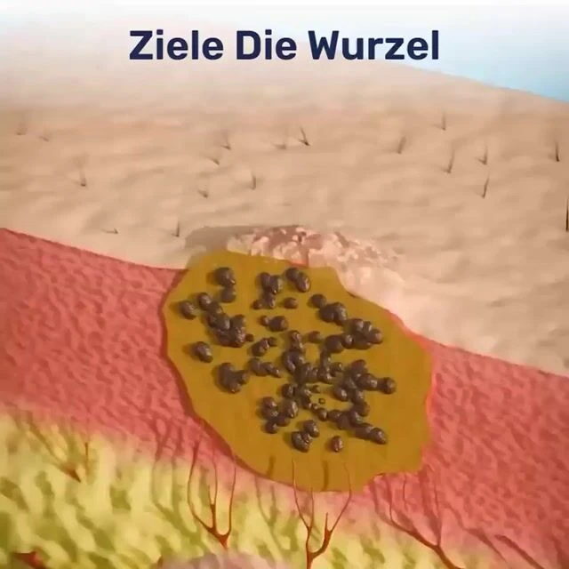 WellaSkin image